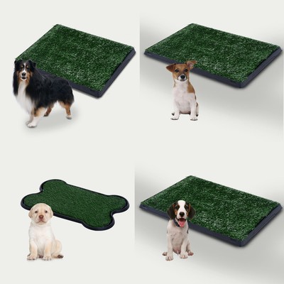 grass litter tray for dogs