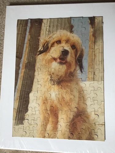 1976 Benji 100 Piece Puzzle and 1977 Book… The Phenomenon of Benji by Frank Inn - Picture 4 of 12