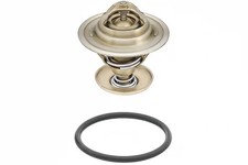 Thermostat Audi 50