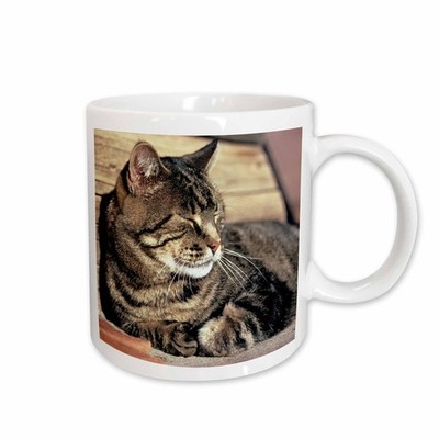 3dRose Utah Capitol Reef NP Sleeping Tabby Cat Ceramic Mug 11oz Ric Ergenbright