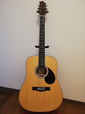 Akustikgitarre Greg Bennett Design D-310 Natur guter Zustand