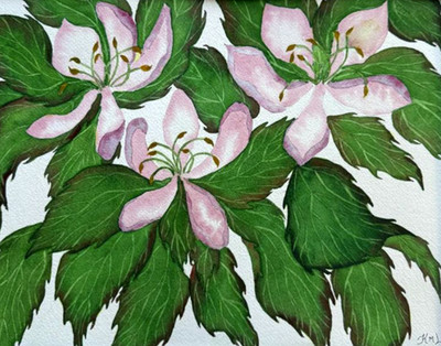 PAINTING WATERCOLOR 11X14 AND DOUBLE MAT 16X20 FLOWER CHERRY BLOSSOM PINK GREEN