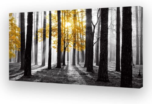 Vibrant 60x30 Yellow Tree in Black and White Forest Canvas Art for Home Decor