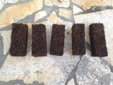 5 Xaximplatten zum aufbinden oder dekorieren im Terrarium 4x3x10