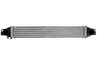 Thermotec LadeluftküHler DAC008TT FüR CitroËN Passend FüR Fiat Peugeot