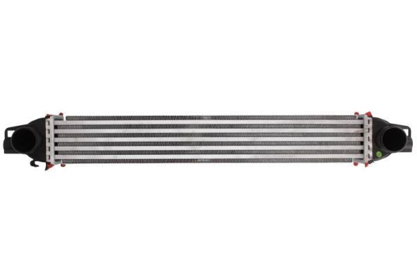 Thermotec LadeluftküHler DAC008TT FüR CitroËN Passend FüR Fiat Peugeot-image