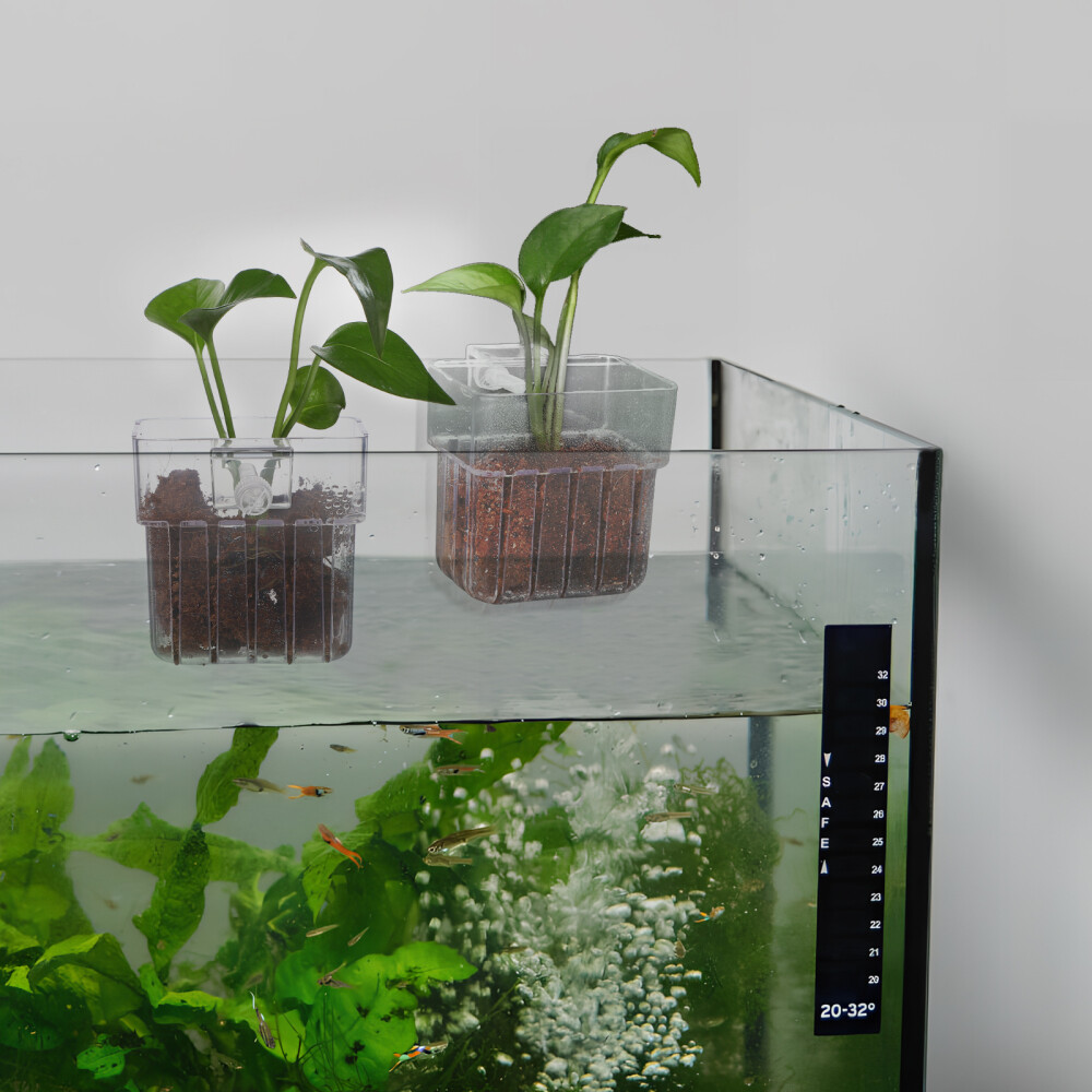 Aquarium Plants Live 20 Pcs Aquatic Plant Cups With Hole Transparent ...