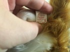 Picture 4 of 4