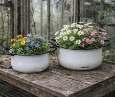 2er SET PFLANZSCHALE GARTENDEKO ALTER TOPF PFLANZTOPF COTTAGE STIL VINTAGE NEU