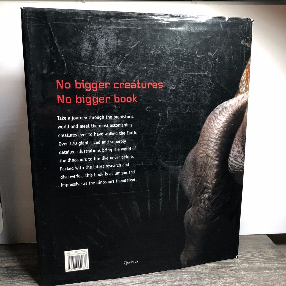 Hardcover Dinosaurs by M. J. Benton, Steve Brusatte 2008