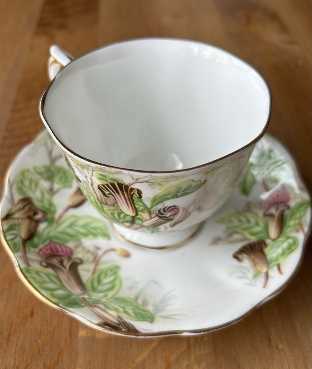 ロイヤルアルバート Royal Albert Jack In The Pulpit Teacup and Saucer Bone China