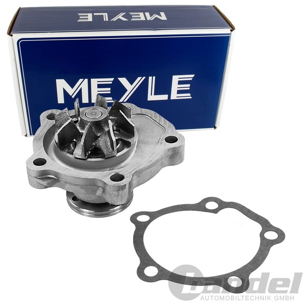 Meyle Wasserpumpe MIT Dichtung Passend FüR Fiat Sedici | 33-13 220 0004-image