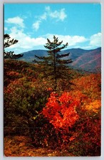 Postcard Mount Mitchell Blue Ridge Parkway Autumn Scene Buck Creek Gap USA