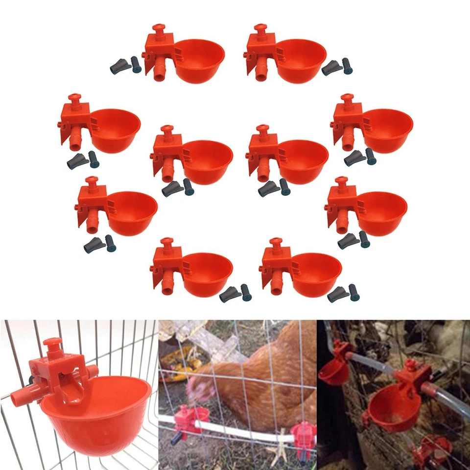 Tazas para beber codornices de alimento para pollitos 10 piezas tazón de agua para pollo Foto 3 de 4