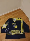 Michigan State Wars Projoy Game Worn Roller Hockey Goalie Jersey Men's Size 58