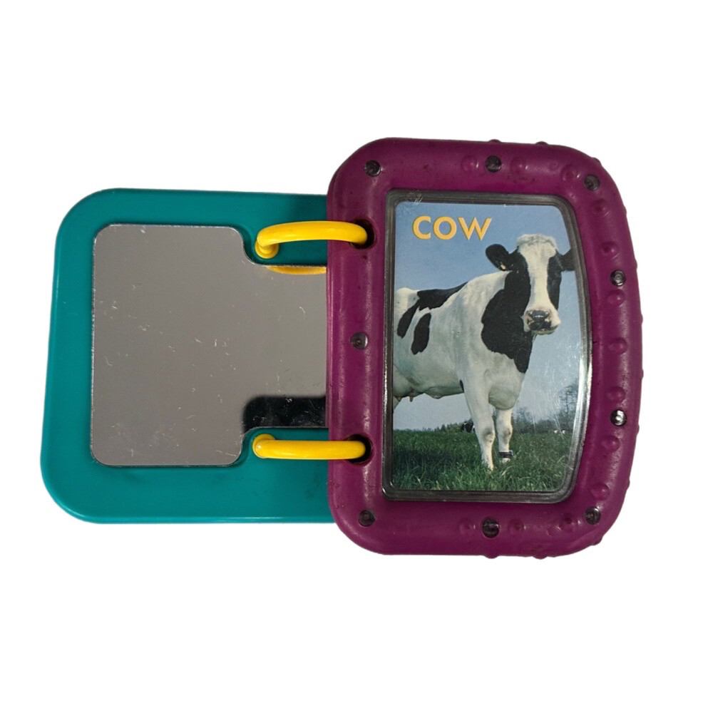 Graco Baby Einstein Discover Play Exersaucer REPLACEMENT Mirror Book