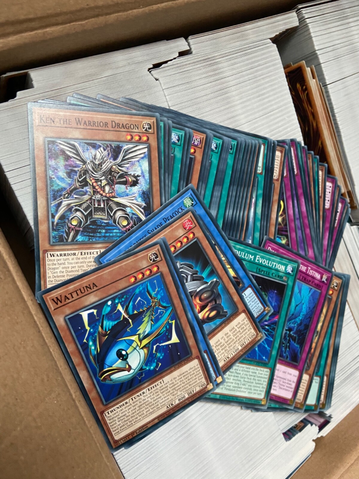5000 Yugioh Cards with Holos included Massive joblot yugioh bundle