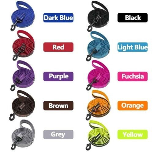FREE SHIPPING TRUE LOVE Reflective Dog Leash eBay