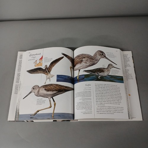 Collins Life-Size Birds HB Book Rob Read & Paul Sterry 2016 British -FPL -CP - 第 3/4 張圖片