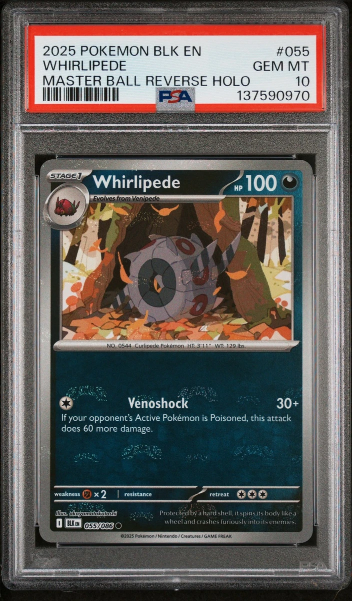Whirlipede Pokémon TCG Cards for sale | eBay