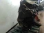 Bild 5 von 10