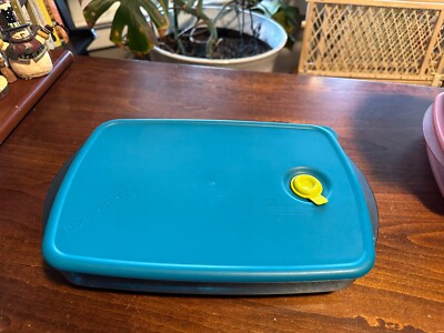 Tupperware Rock N Serve Divided #3990 6C Rectangular Microwavable Aqua Blue