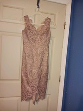 Eliza J Formal Lace Dress In Dusty Pink Fully Lined Zip Back V-neckline Sz 2