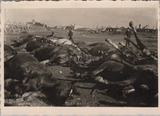 Foto, Wk2, Blick auf Panzersperren (MJ-153)