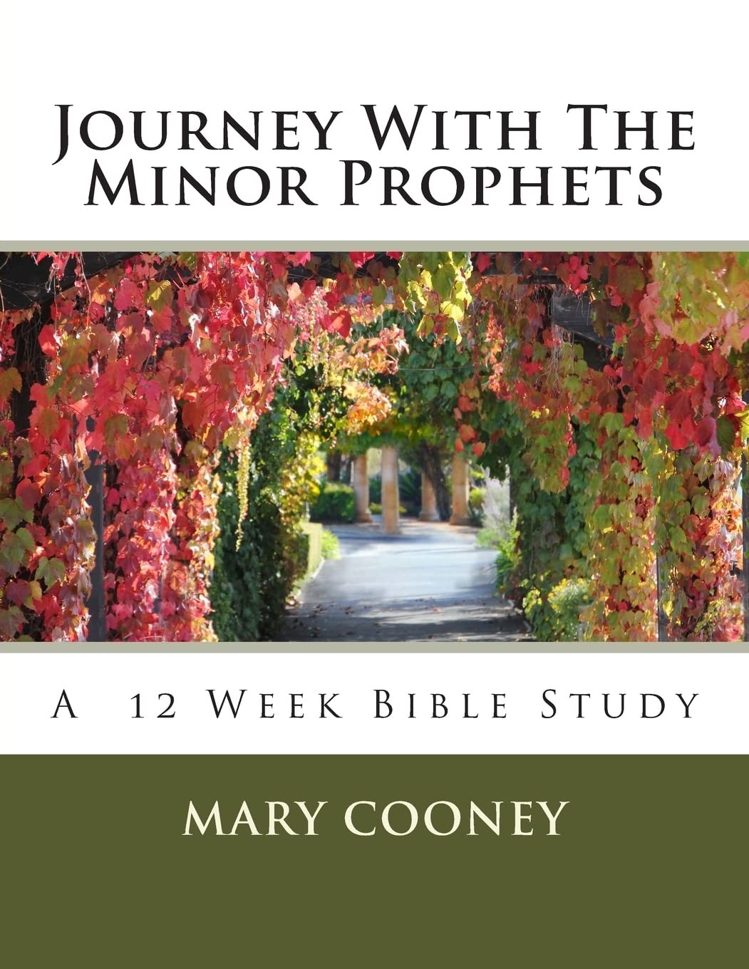 Journey With The Minor Prophets: A Bible Study
