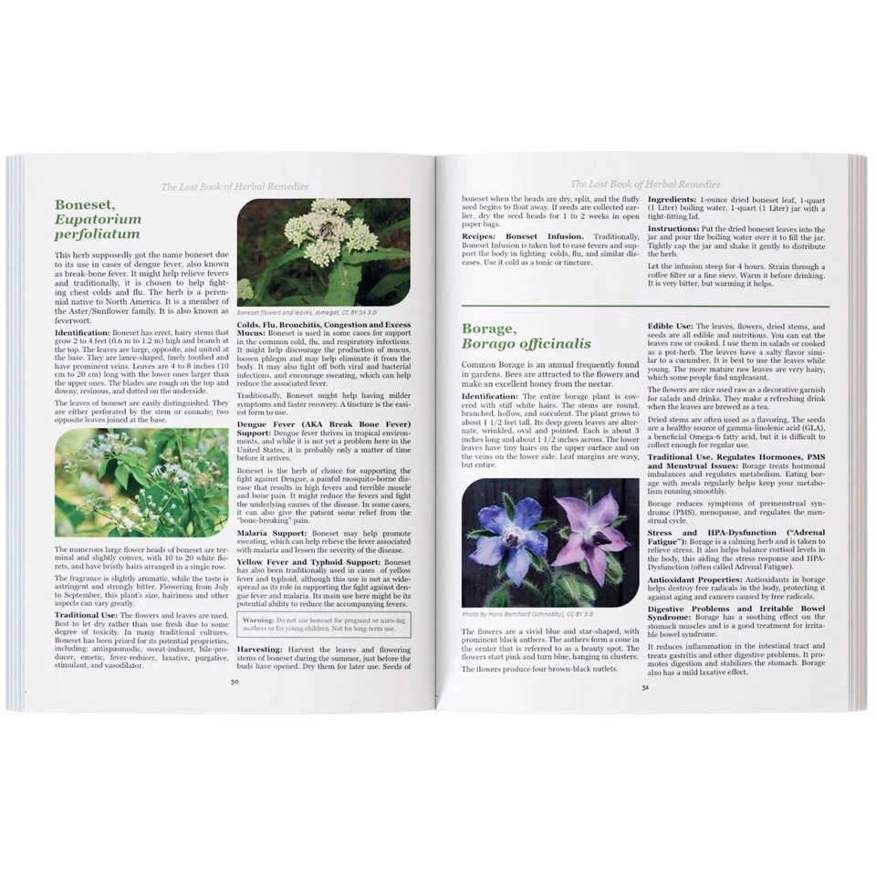 The Lost Book of Herbal Remedies (paperback with color pictures) — 第 2/2 张图片