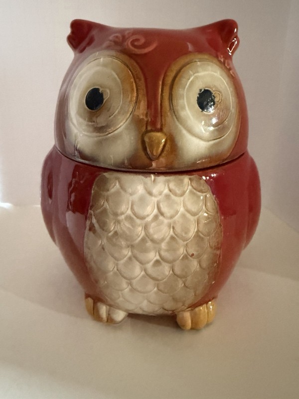 Gibson Home Owl Ceramic Cookie Jar 7” Mid Century Modern Vibe Vintage 1980S