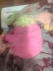 Bild 9 von 15