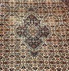 Item photo. Show Listing Details page. Listing Exquisite Hand-knotted Rug (Bijar) 3’8" X 5’4"
