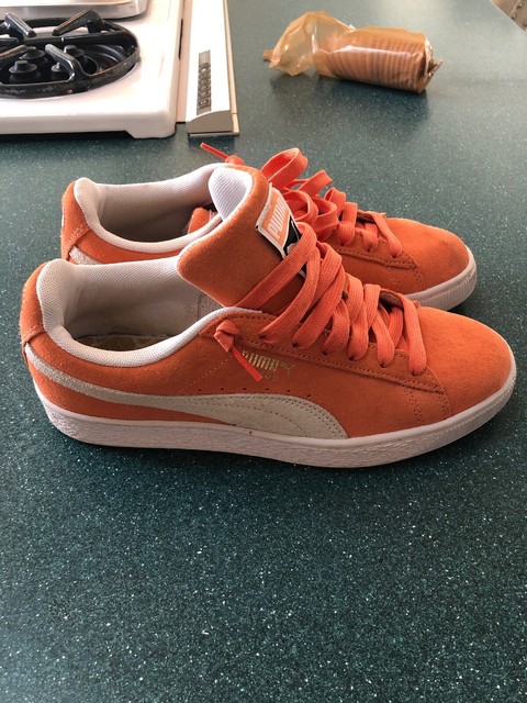 vans asher dx women's suede skate shoes