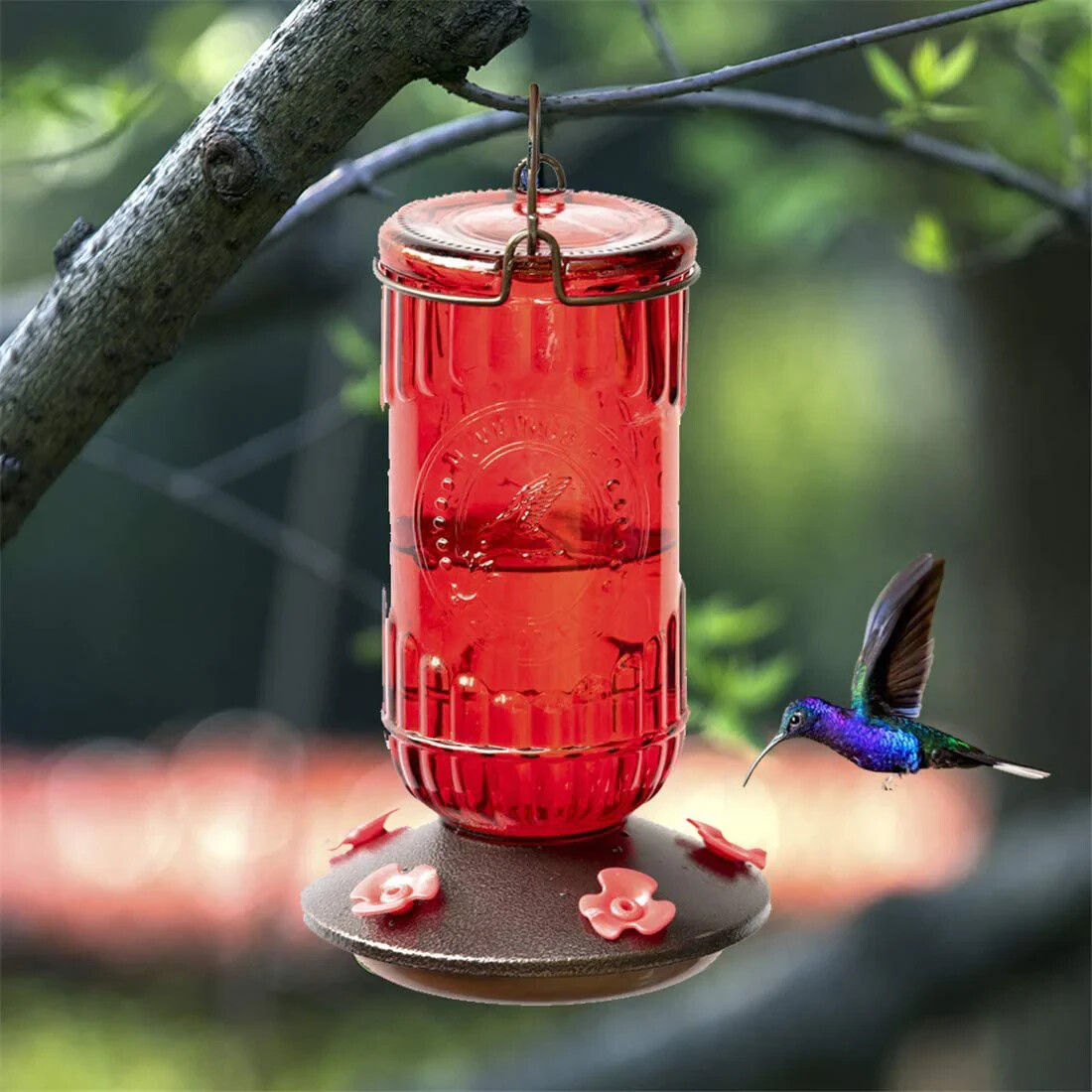 Pennington Decorative 28 Oz Glass Hummingbird Feeder Shelly Lighting