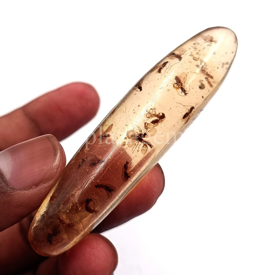 51 Natural  Amber Insect Inclusion Certified Loose Gemstone KK - Image 3 of 4