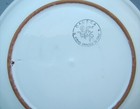 Foto 6 di 6