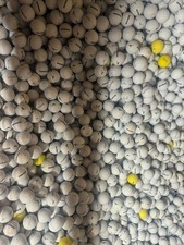 X100 Mizuno Practice Balls (Driving Range Balls)