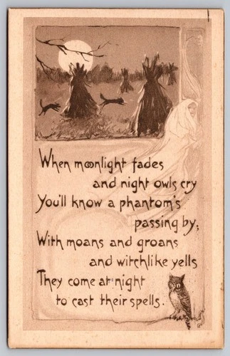 Vintage Halloween Phantom Moonlight Owl Gothic Poem Postcard Gibson Series GA1