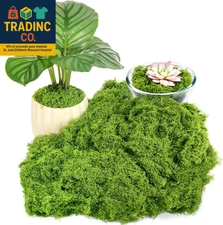 Fake Green Moss for Plants Indoor, 5.3OZ Fake Moss for Crafts Preserved for DIY 