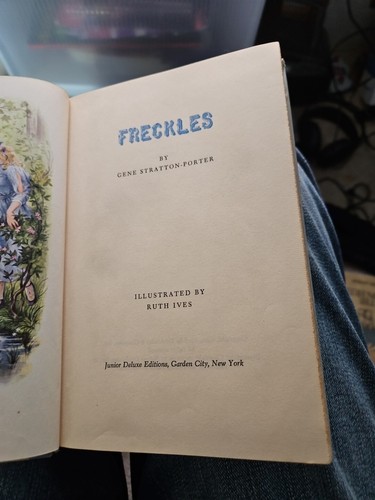 Freckles by Gene Stratton Porter Illustrated by Ruth Ives Junior Deluxe Edition - Picture 5 of 5