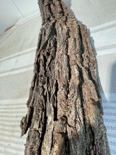 Natural Tree Bark Slab Rustic Wood Bark Piece 35  Natural Decor Craft Taxidermy
