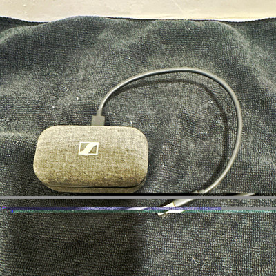 Sennheiser MOMENTUM True Wireless 3 Bluetooth In-Ear Earbuds Gray/Black Case