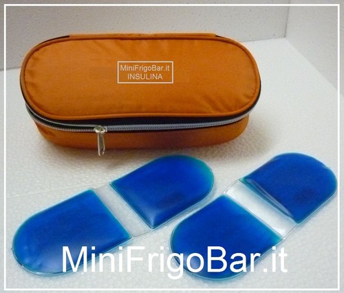 Mini Frigo per INSULINA portatile Borsa Termica x Siringhe e Aghi  Medicinali | eBay