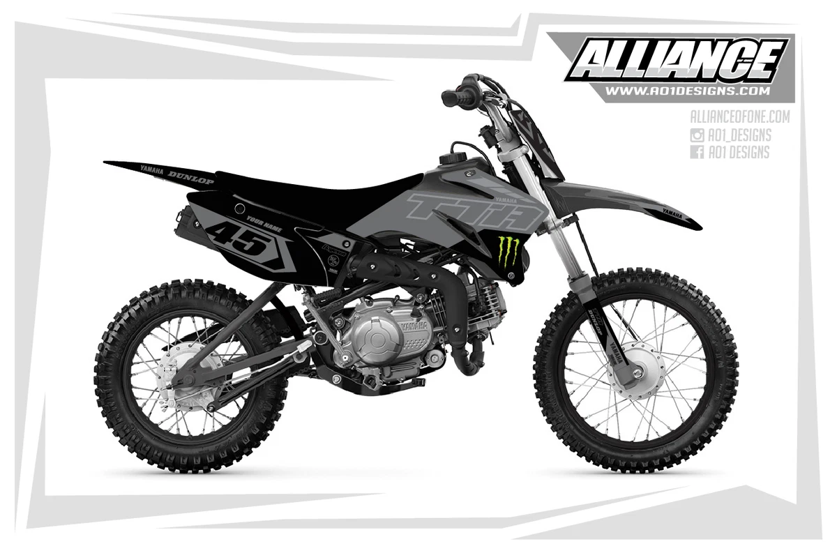 2017 yamaha ttr on sale 110