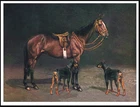 DOBERMAN PINSCHER DOGS AND HORSE ART PRINT POSTER