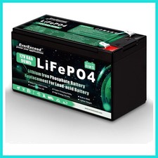 Lifepo4 Battery 3000 Deep Cycles 12V Lithium Battery for Solar/Wind Power, L...