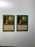 Nature's Lore 1997 MTG Core Set 5th Edition Regular Playset