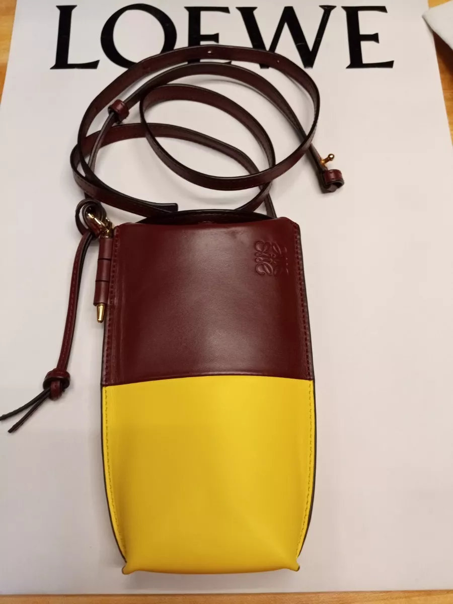 Loewe Gate Pocket Crossbody Bag BiColor Burgundy Yellow