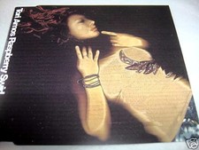 Tori Amos Raspberry Swirl CD Maxi Single 3 Mixes German Import NEW UNPLAYED